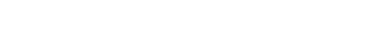 ESA BIC Brindisi